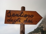 Clicca qui per vedere l'immagine in dettaglio